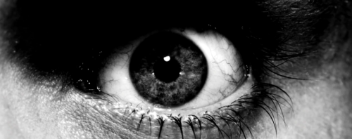 The Gaslighting of the Masses
