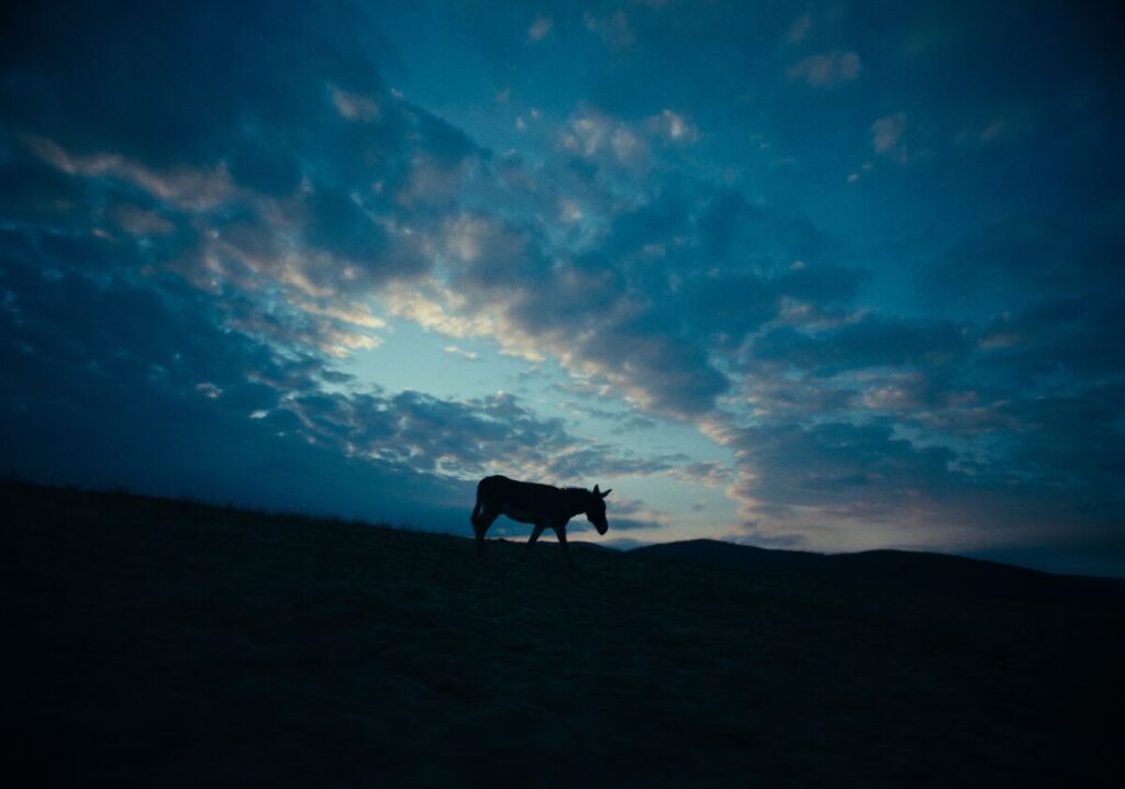 EO: Bearing Witness in the Hell of Speciesism
