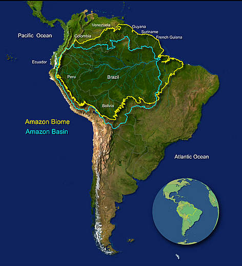Destruction of the Amazon Rainforest Destabilizes the World