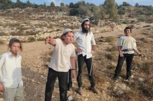 The Unsettling Settlers