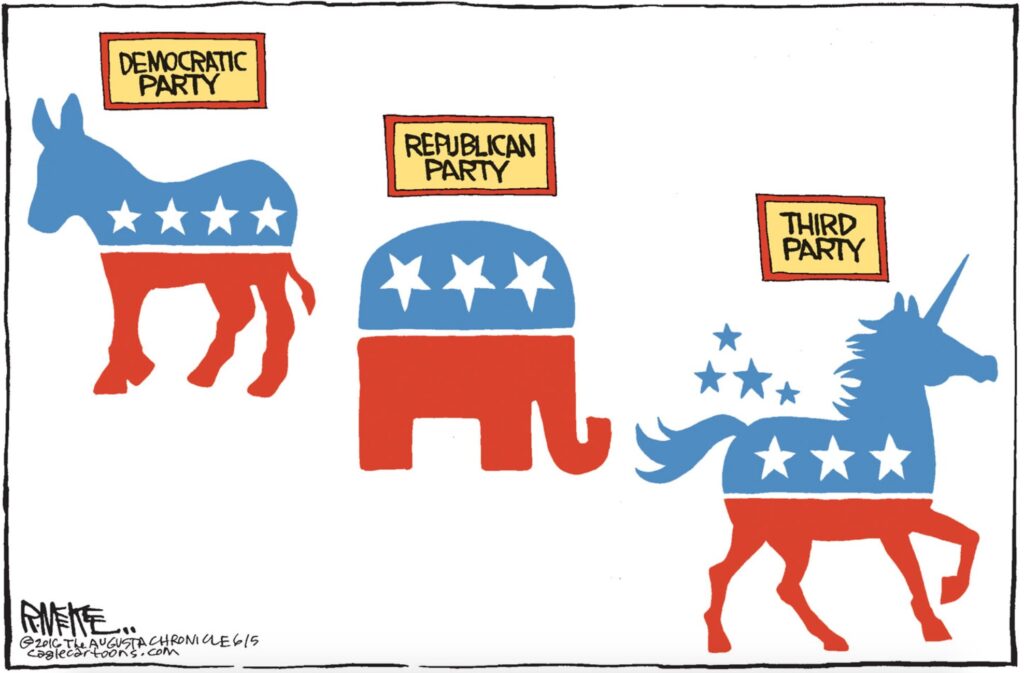 Election Fever: A Fever Dream?