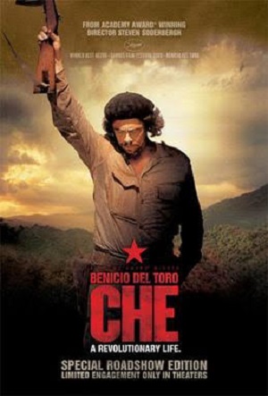 Warriors and Domestics: Plotting a New Course in Cinema