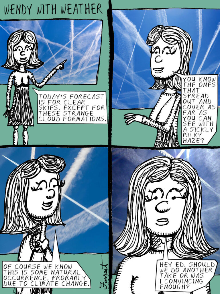 The Forecast