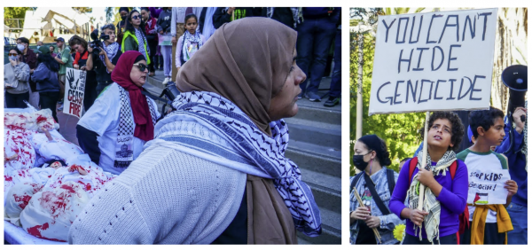 Marching with the Multitudes Protesting the Siege on Gaza