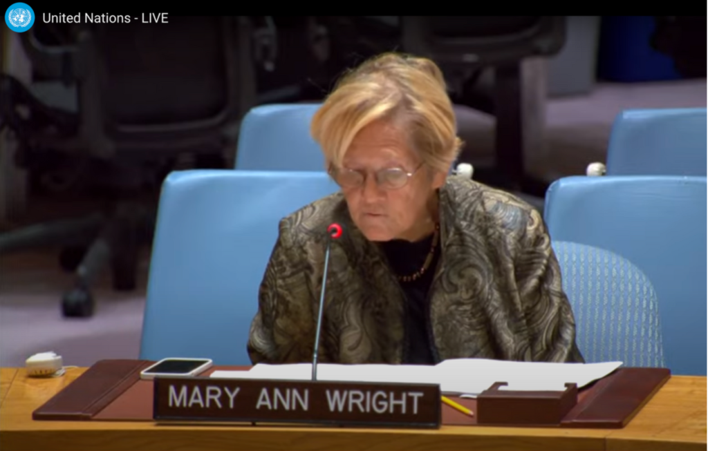 Ret. Col. Ann Wright Unmasks the Truth in Arms Transfer Debate