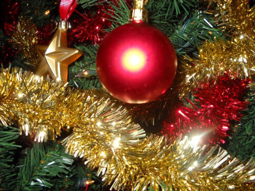 Sacred Tree or Paradise Tree? The Christmas Tree and Nature