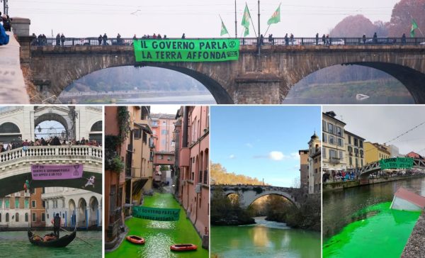 The Green Mafia