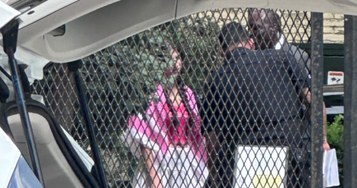 CODEPINK’s Palestinian-American Staff Member ARRESTED on False Accusation of Assault by Member of Congress