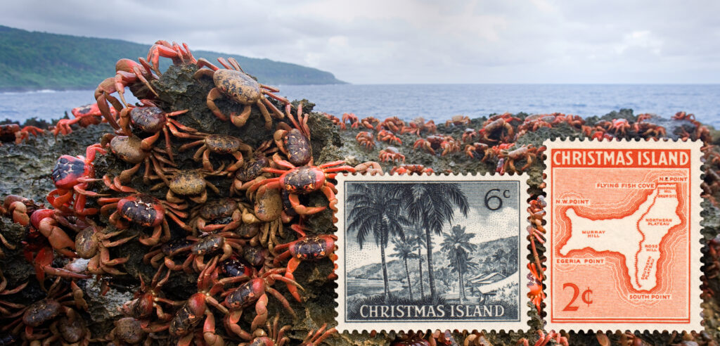 Google on Christmas Island: Data Centres and Imminent Militarisation