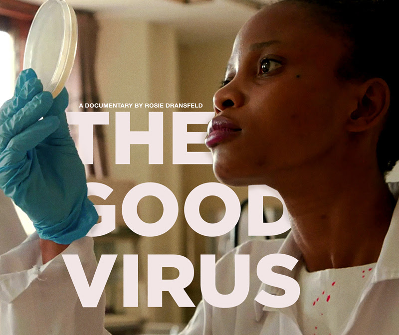 Combatting Antimicrobial-Resistant Infections